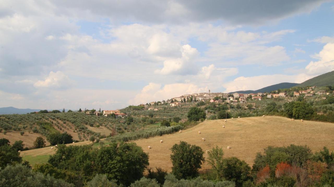 Bed and Breakfast Al Ginepro Montecchio  Esterno foto